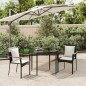 vidaXL Set comedor de jardín 3 pzas con cojines ratán sintético negro vidaXL Set comedor de jardín 3 pzas con cojines ratán sintético negro