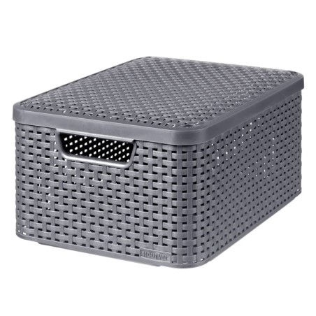 Curver Caja de almacenamiento con tapa Style M 18L plateado metálico