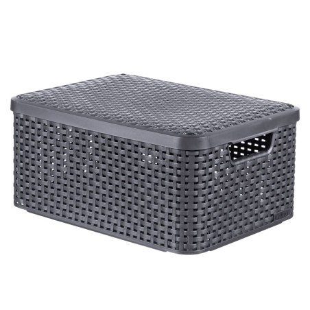 Curver Caja de almacenamiento con tapa Style M 18L plateado metálico
