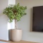 Capi Macetero Waste Smooth beige terrazo 43x41 cm Capi Macetero Waste Smooth beige terrazo 43x41 cm