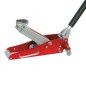Carpoint Gato hidráulico trolley acero 2 ruedas 1500 kg Carpoint Gato hidráulico trolley acero 2 ruedas 1500 kg
