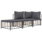 vidaXL Juego de muebles de jardín 3 pzas cojines antracita ratán PE vidaXL Juego de muebles de jardín 3 pzas cojines antracita ratán PE