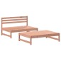 vidaXL Juego de muebles jardín 2 pzas y cojines madera abeto Douglas vidaXL Juego de muebles jardín 2 pzas y cojines madera abeto Douglas
