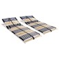 vidaXL Somieres de cama 2 uds con 42 láminas 7 zonas 80x200 cm