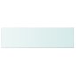 vidaXL Estantes 2 unidades panel de vidrio transparente 110x30 cm vidaXL Estantes 2 unidades panel de vidrio transparente 110x30 cm