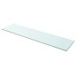 vidaXL Estantes 2 unidades panel de vidrio transparente 100x25 cm vidaXL Estantes 2 unidades panel de vidrio transparente 100x25 cm