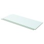 vidaXL Estantes 2 unidades panel de vidrio transparente 60x20 cm vidaXL Estantes 2 unidades panel de vidrio transparente 60x20 cm