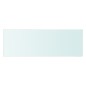 vidaXL Estantes 2 unidades panel de vidrio transparente 60x20 cm vidaXL Estantes 2 unidades panel de vidrio transparente 60x20 cm