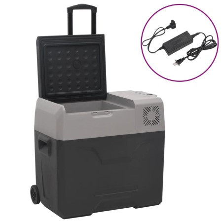 vidaXL Nevera con ruedas y adaptador polipropileno negro y gris 30 L