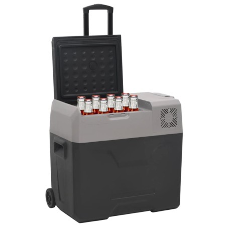 vidaXL Nevera con ruedas y adaptador polipropileno negro y gris 30 L