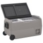 vidaXL Nevera con ruedas y adaptador PP y PE negro y gris 60 L vidaXL Nevera con ruedas y adaptador PP y PE negro y gris 60 L
