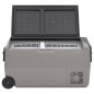 vidaXL Nevera con ruedas y adaptador PP y PE negro y gris 60 L vidaXL Nevera con ruedas y adaptador PP y PE negro y gris 60 L