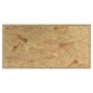 vidaXL Terrario de madera contrachapada 60x30x30 cm vidaXL Terrario de madera contrachapada 60x30x30 cm
