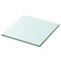 vidaXL Estantes 2 unidades panel de vidrio transparente 30x30 cm vidaXL Estantes 2 unidades panel de vidrio transparente 30x30 cm
