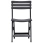 vidaXL Sillas de jardín plegables 2 unidades plástico gris antracita vidaXL Sillas de jardín plegables 2 unidades plástico gris antracita