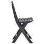 vidaXL Sillas de jardín plegables 2 unidades plástico gris antracita vidaXL Sillas de jardín plegables 2 unidades plástico gris antracita
