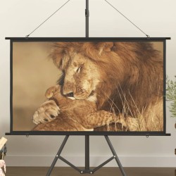 vidaXL Pantalla de proyección 50" 16:9