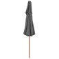 vidaXL Sombrilla de dos pisos palo de madera 270 cm gris antracita vidaXL Sombrilla de dos pisos palo de madera 270 cm gris antracita