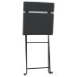 vidaXL Sillas cafetería plegables 2 uds acero y ratán sintético negro vidaXL Sillas cafetería plegables 2 uds acero y ratán sintético negro