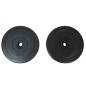 vidaXL Discos de pesas 2 unidades 10 kg vidaXL Discos de pesas 2 unidades 10 kg