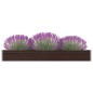 vidaXL Arriate de jardín de acero galvanizado marrón 320x40x45 cm vidaXL Arriate de jardín de acero galvanizado marrón 320x40x45 cm