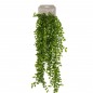 Emerald Ficus trepador artificial 80 cm Emerald Ficus trepador artificial 80 cm