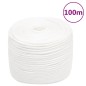 vidaXL Cuerda de barco polipropileno blanco intenso 6 mm 100 m vidaXL Cuerda de barco polipropileno blanco intenso 6 mm 100 m