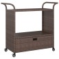 vidaXL Carrito de bar con cajón ratán sintético marrón 100x45x97 cm vidaXL Carrito de bar con cajón ratán sintético marrón 100x45x97 cm