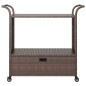 vidaXL Carrito de bar con cajón ratán sintético marrón 100x45x97 cm vidaXL Carrito de bar con cajón ratán sintético marrón 100x45x97 cm