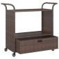 vidaXL Carrito de bar con cajón ratán sintético marrón 100x45x97 cm vidaXL Carrito de bar con cajón ratán sintético marrón 100x45x97 cm