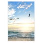 vidaXL Marcos de fotos collage de mesa 5 uds blanco MDF 21x29,7cm vidaXL Marcos de fotos collage de mesa 5 uds blanco MDF 21x29,7cm