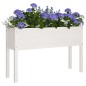 vidaXL Jardineras 2 uds madera maciza de pino blanca 110x31x70 cm vidaXL Jardineras 2 uds madera maciza de pino blanca 110x31x70 cm