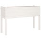 vidaXL Jardineras 2 uds madera maciza de pino blanca 110x31x70 cm vidaXL Jardineras 2 uds madera maciza de pino blanca 110x31x70 cm
