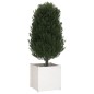 vidaXL Jardineras 2 uds madera maciza de pino blanco 60x60x40 cm vidaXL Jardineras 2 uds madera maciza de pino blanco 60x60x40 cm