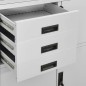 vidaXL Armario de oficina de acero gris claro 90x40x180 cm vidaXL Armario de oficina de acero gris claro 90x40x180 cm
