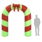 vidaXL Puerta de arco inflable de Navidad con LED 270 cm vidaXL Puerta de arco inflable de Navidad con LED 270 cm