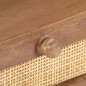 vidaXL Mesa de centro de madera maciza de mango 100x60x40 cm