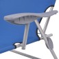 vidaXL Tumbona de jardín con toldo acero azul vidaXL Tumbona de jardín con toldo acero azul