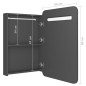 vidaXL Armario de baño con espejo y LED gris 60x11x80 cm vidaXL Armario de baño con espejo y LED gris 60x11x80 cm