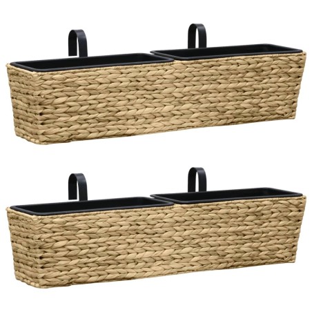 vidaXL Conjunto de jardineras 2 unidades jacinto de agua  