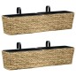 vidaXL Conjunto de jardineras 2 unidades jacinto de agua vidaXL Conjunto de jardineras 2 unidades jacinto de agua