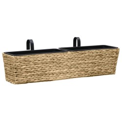vidaXL Conjunto de jardineras 2 unidades jacinto de agua  