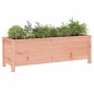 vidaXL Arriate elevado de jardín madera abeto Douglas 119,5x40x39 cm vidaXL Arriate elevado de jardín madera abeto Douglas 119,5x40x39 cm