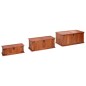 vidaXL Baúl de almacenamiento 3 piezas de madera maciza de acacia vidaXL Baúl de almacenamiento 3 piezas de madera maciza de acacia
