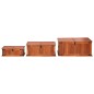 vidaXL Baúl de almacenamiento 3 piezas de madera maciza de acacia vidaXL Baúl de almacenamiento 3 piezas de madera maciza de acacia