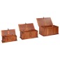vidaXL Baúl de almacenamiento 3 piezas de madera maciza de acacia vidaXL Baúl de almacenamiento 3 piezas de madera maciza de acacia