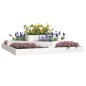 vidaXL Jardinera madera maciza de pino blanco 112x112x27 cm vidaXL Jardinera madera maciza de pino blanco 112x112x27 cm