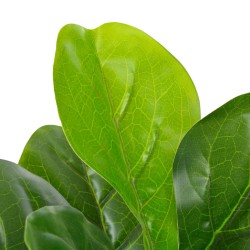 vidaXL Planta artificial ficus con macetero 90 cm verde