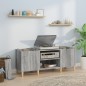 vidaXL Mueble para discos madera contrachapada gris sonoma 121x38x48cm