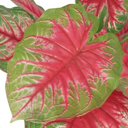 vidaXL Planta caladium artificial con macetero 85 cm verde